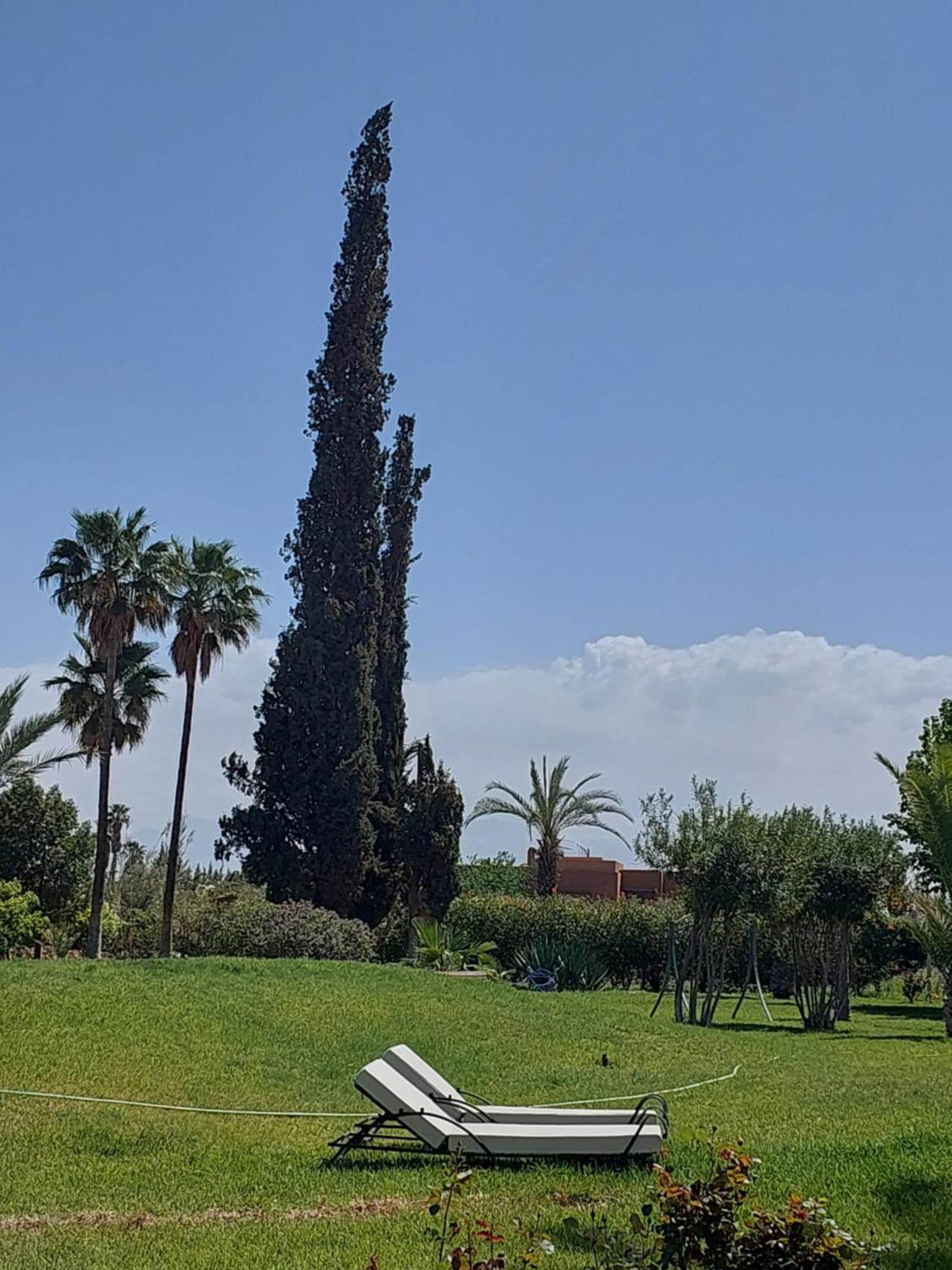 Palais Les Sources De L'Atlas & Spa El Harkat エクステリア 写真