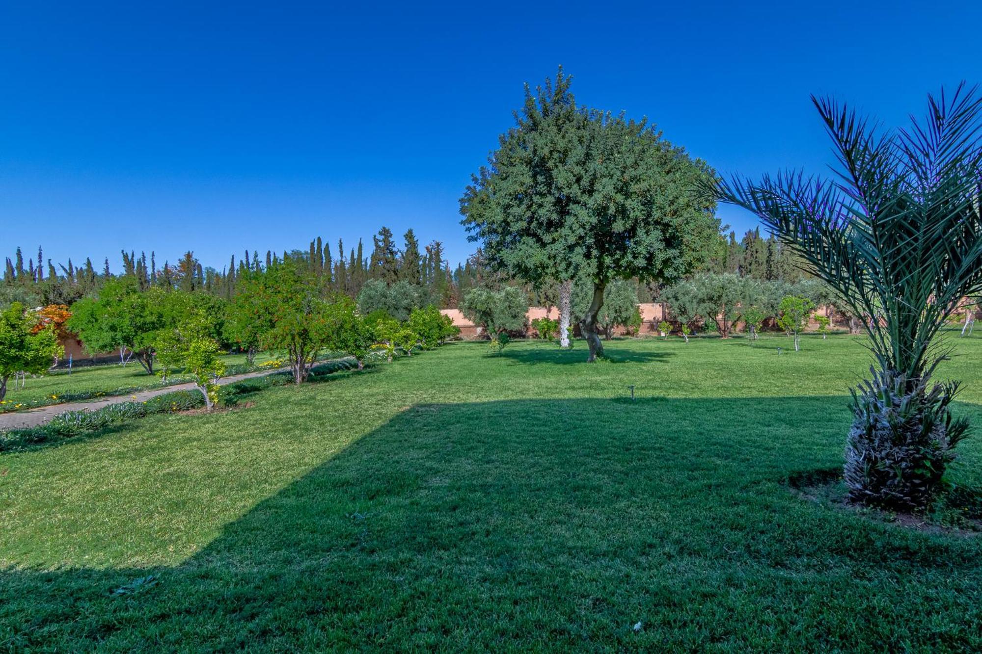 Palais Les Sources De L'Atlas & Spa El Harkat エクステリア 写真